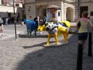 Prague Cow Parade