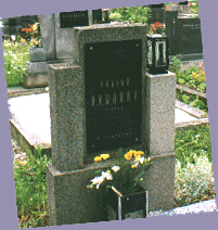 The grave of Vyborny's of Lipa